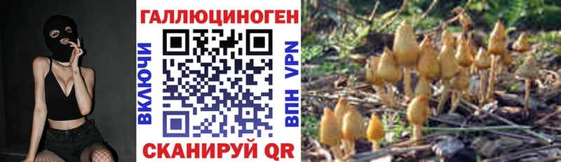 Псилоцибиновые грибы мицелий  Новопавловск 